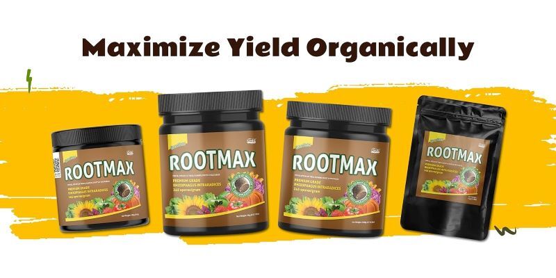 London, Farm & Garden, GBP 14,  Rootmax Root Powder &ndash; Rooting Support Worth Choosing | Buy Now