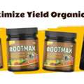 GBP 14,  Rootmax Root Powder &ndash; Rooting Support Worth Choosing | Buy Now
