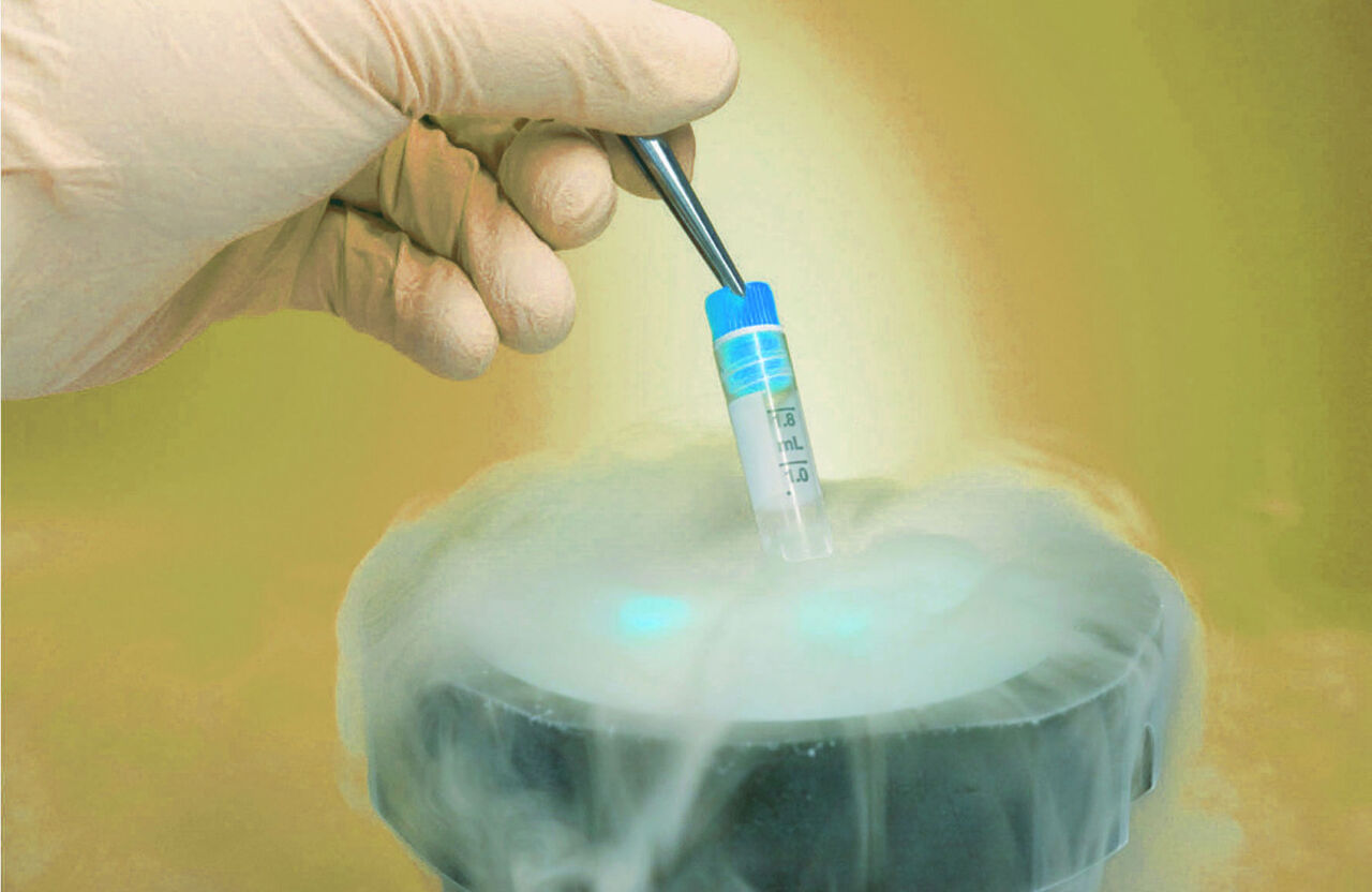 New Delhi, Health, Egg Freezing In Delhi For Fertility Preservation | Fertylity IVF