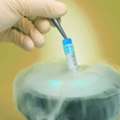 Egg Freezing In Delhi For Fertility Preservation | Fertylity IVF