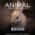Animal Artwork Spotlight | Join TERAVARNA Animal Art Competition