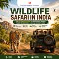 Wildlife Safari In India