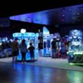 Ready For Fun? Explore Entertainment Options In Longmont