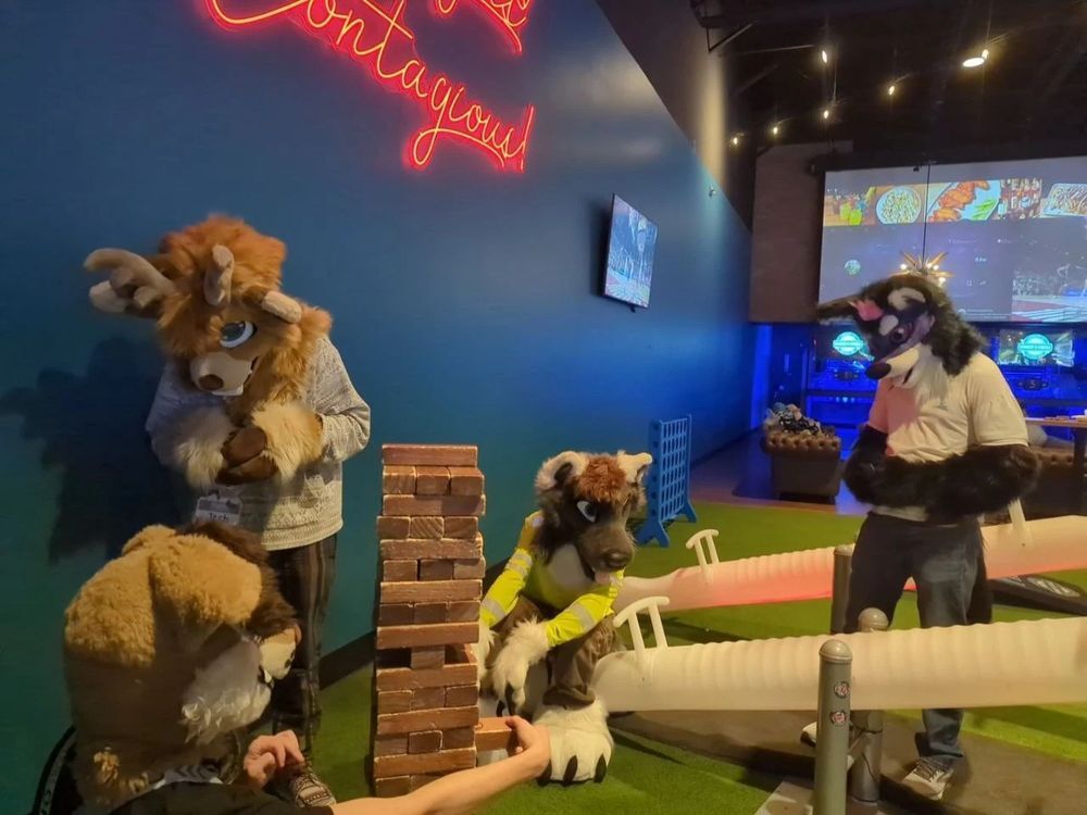 Los Angeles, Events, Ready For Fun? Explore Entertainment Options In Longmont