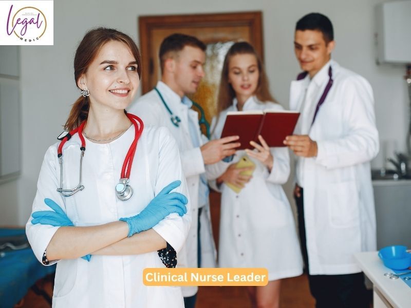 New York, Health, Clinical Nurse Leader Responsibilities In Patient Safety And Care