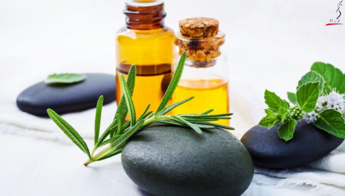 New York, Health, Ayurvedic Doctor New York For Personalized Wellness Care