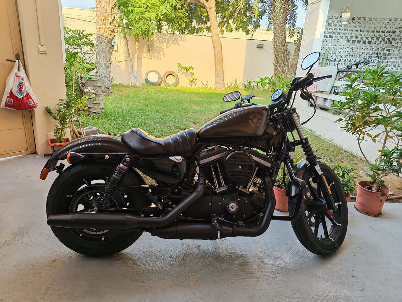 Jeddah, Motorcycles, SAR 36000,  HARLEY-DAVIDSON IRON 883 &ndash; 2020 I Like New, USED Only 2350km