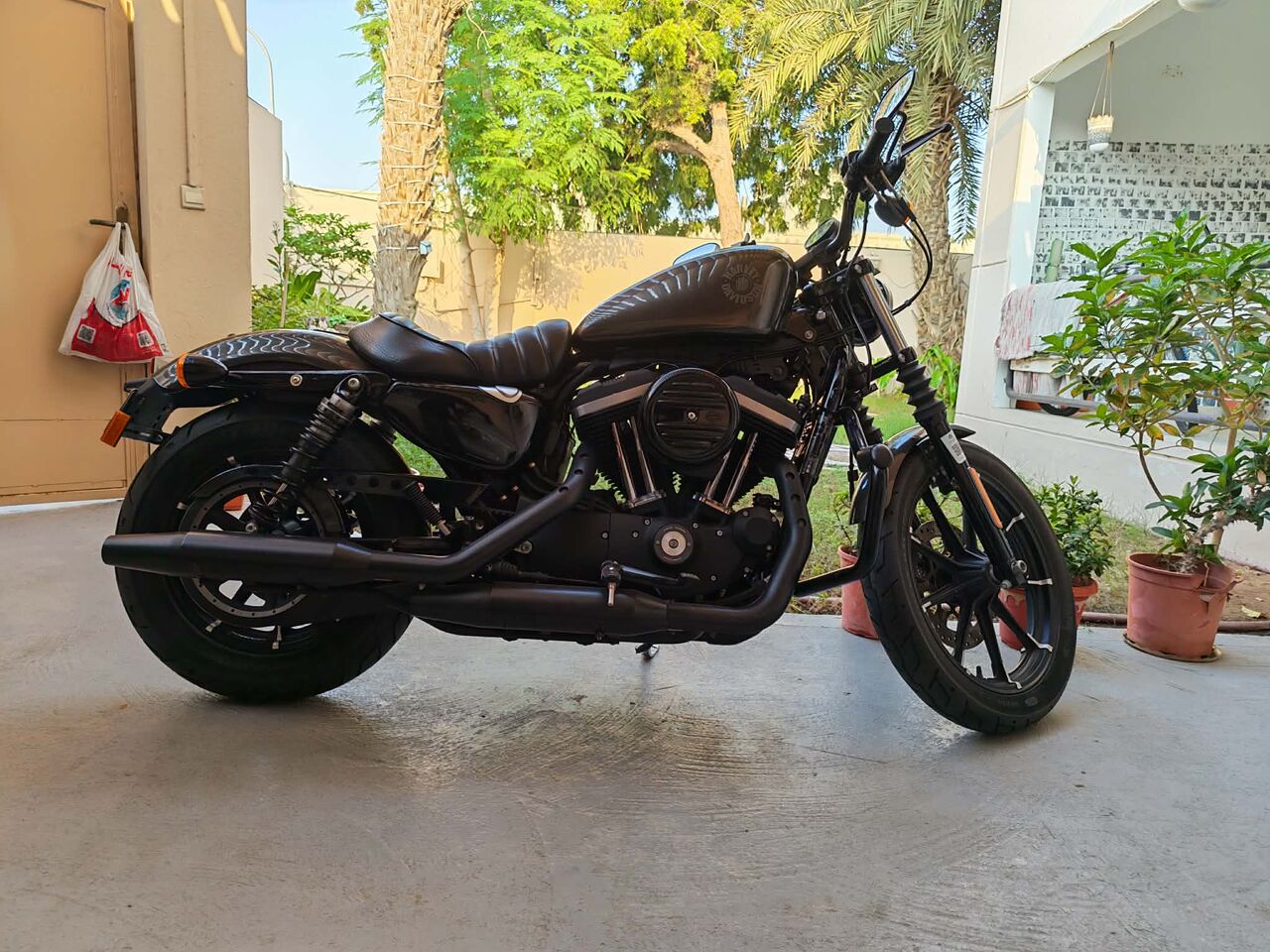 Jeddah, Motorcycles, SAR 36000,  HARLEY-DAVIDSON IRON 883 &ndash; 2020 I Like New, USED Only 2350km