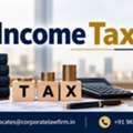 How Can Professional Income Tax Services Help You Avoid Tax Disputes And Penalties?