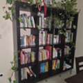 SAR 500,  Vends Biblioth&egrave;que D&rsquo;IKEA Avec Divers Livres D'enfants Tous Niveaux