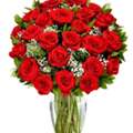 Flower Packs | Gifts And Petals Delightful Bloom Gift