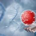 Quality Infertility Treatment In Delhi At Fertylity IVF
