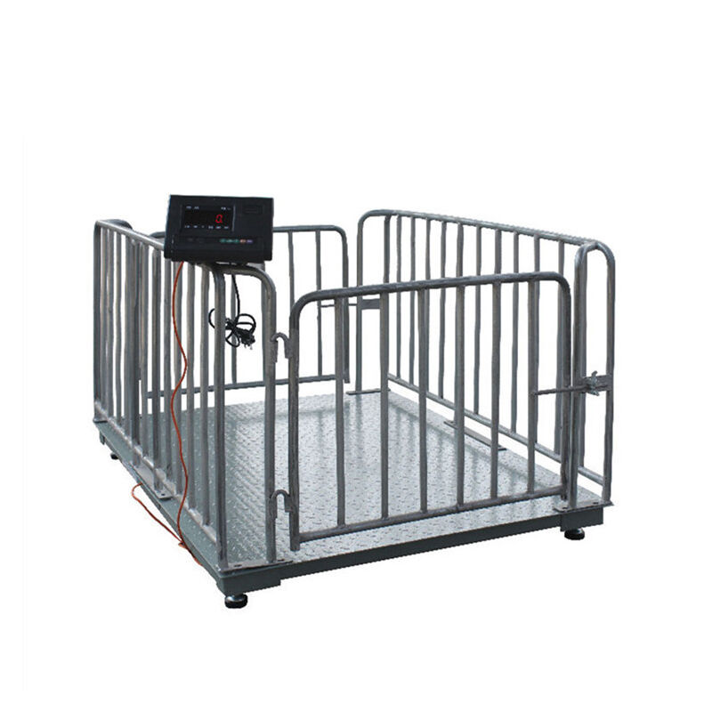 Kampala, Electronics, UGX 5000000,  Digital Goat Weighing Platforms Uganda