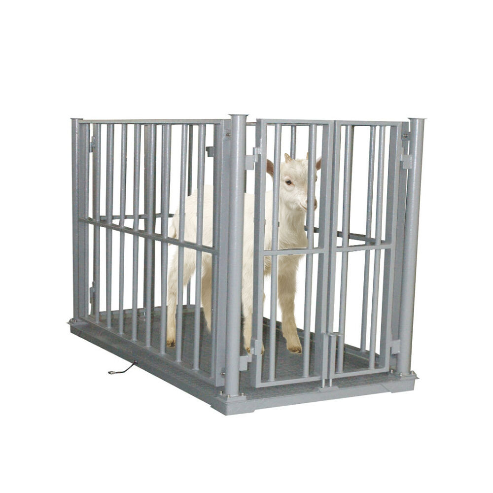 Kampala, Electronics, UGX 5000000,  Goat Scales For Sale Uganda