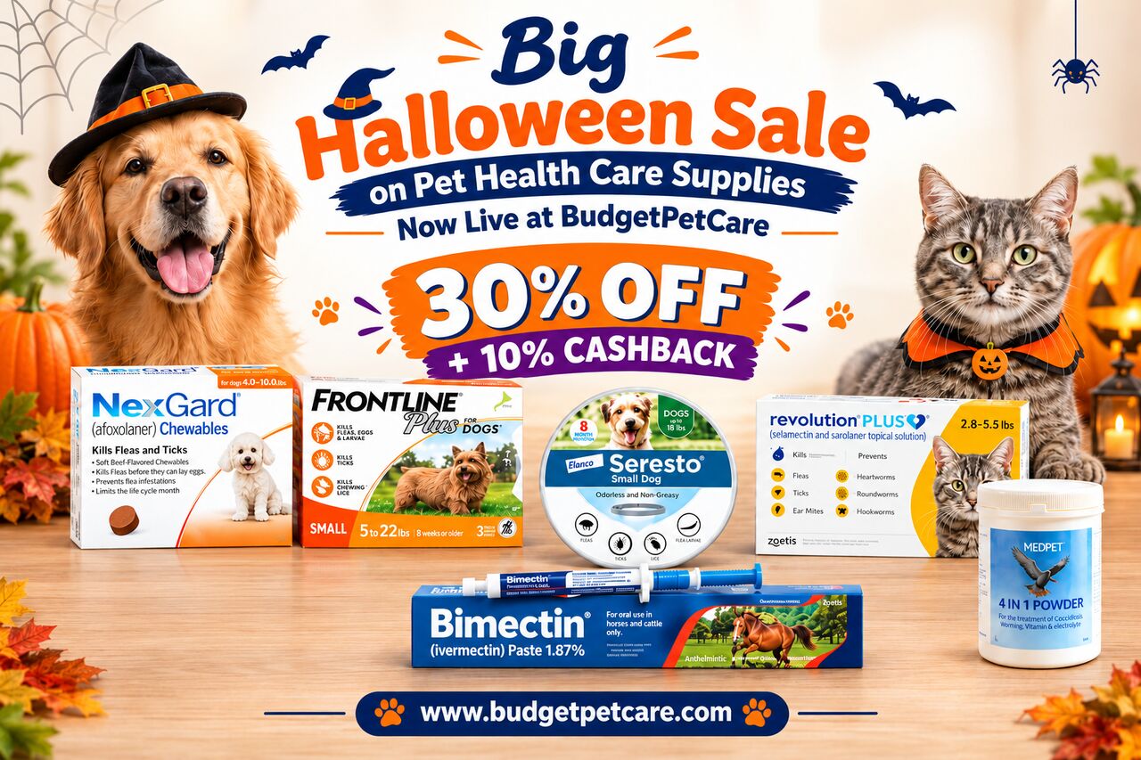 New York, Pet Supplies, Big Halloween Sale On Pet Health Care Supplies Now Live At BudgetPetCare
