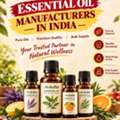 Pure Essential Oil Manufacturer In India | Moksha Lifestyle