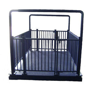 Kampala, Electronics, UGX 5000000,  Livestock Weighing Equipment For Dairy Farms Uganda