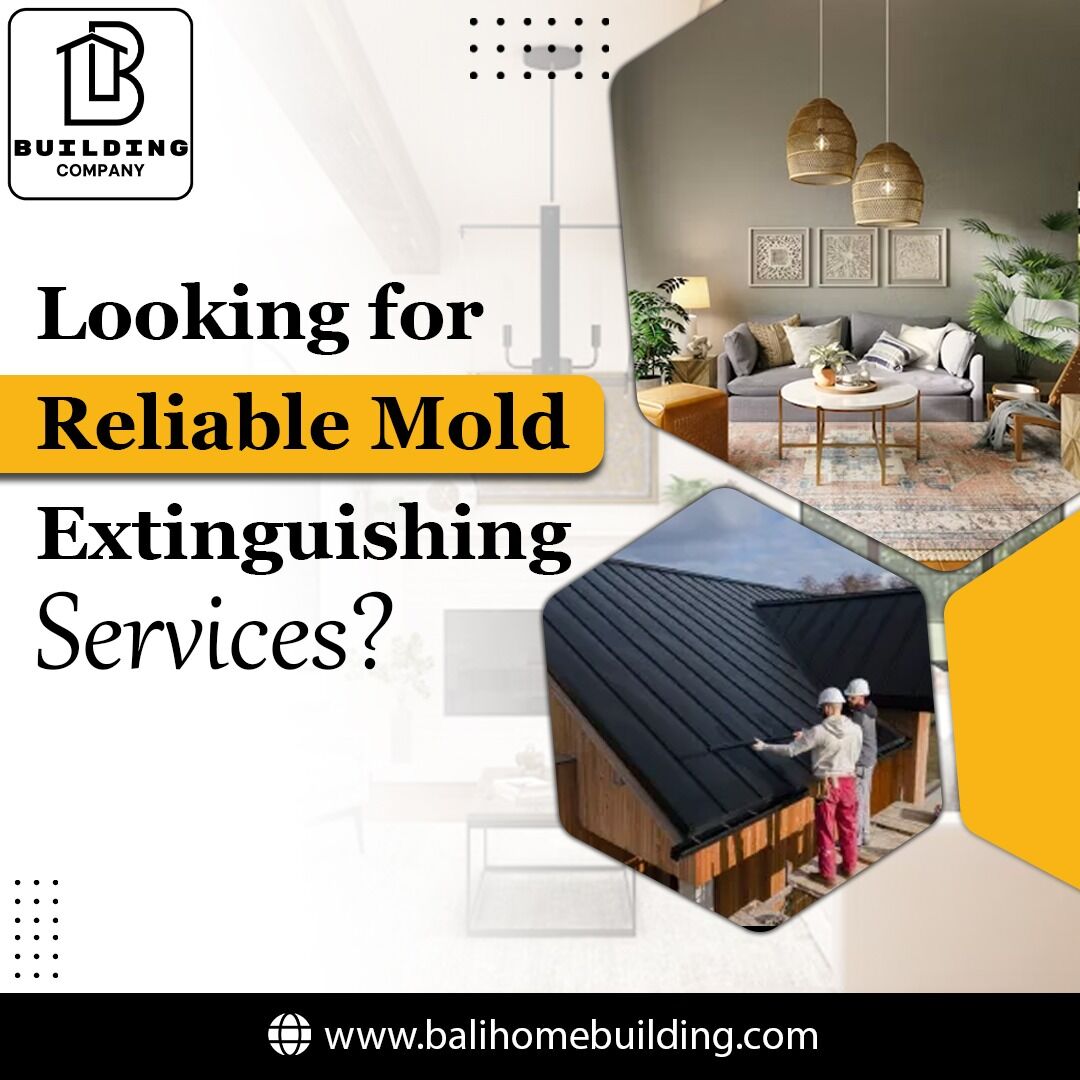 Bali, Construction, Looking For Reliable Mold Extinguishing Services