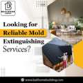 Looking For Reliable Mold Extinguishing Services