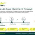 FermaQuin K2 MK-7: A Reliable Ingredient For Modern Nutraceutical Formulations