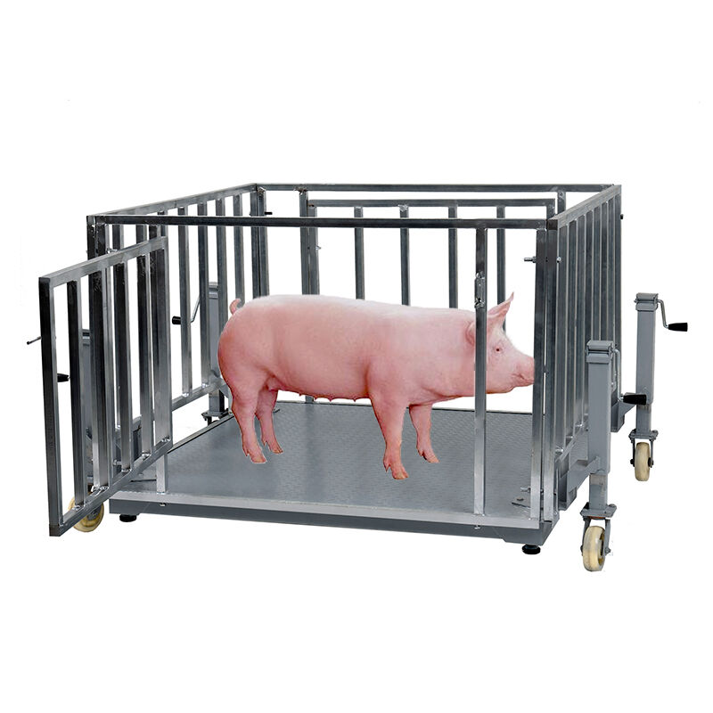 Kampala, Electronics, UGX 5000000,  Looking For Round Bale Scales Near You?