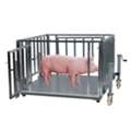 UGX 5000000,  Looking For Round Bale Scales Near You?