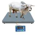 UGX 5000000,  Looking For Sheep Scales Near You?