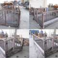 UGX 5000000,  Looking For Veterinary Scales Near You?