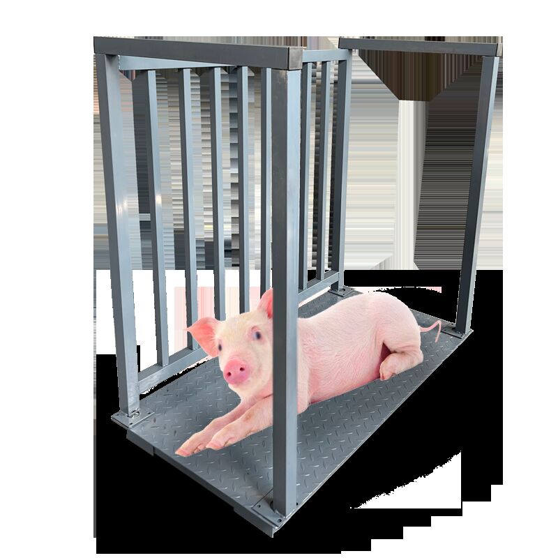 Kampala, Electronics, UGX 5000000,  Accurate Digital Swine Scales Uganda