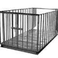 UGX 5000000,  Accurate Automated Pig Weighing Systems Uganda