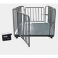 UGX 5000000,  Accurate Livestock Pig Scales Uganda