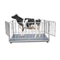 UGX 5000000,  Accurate Pig Scale Dealers Kampala
