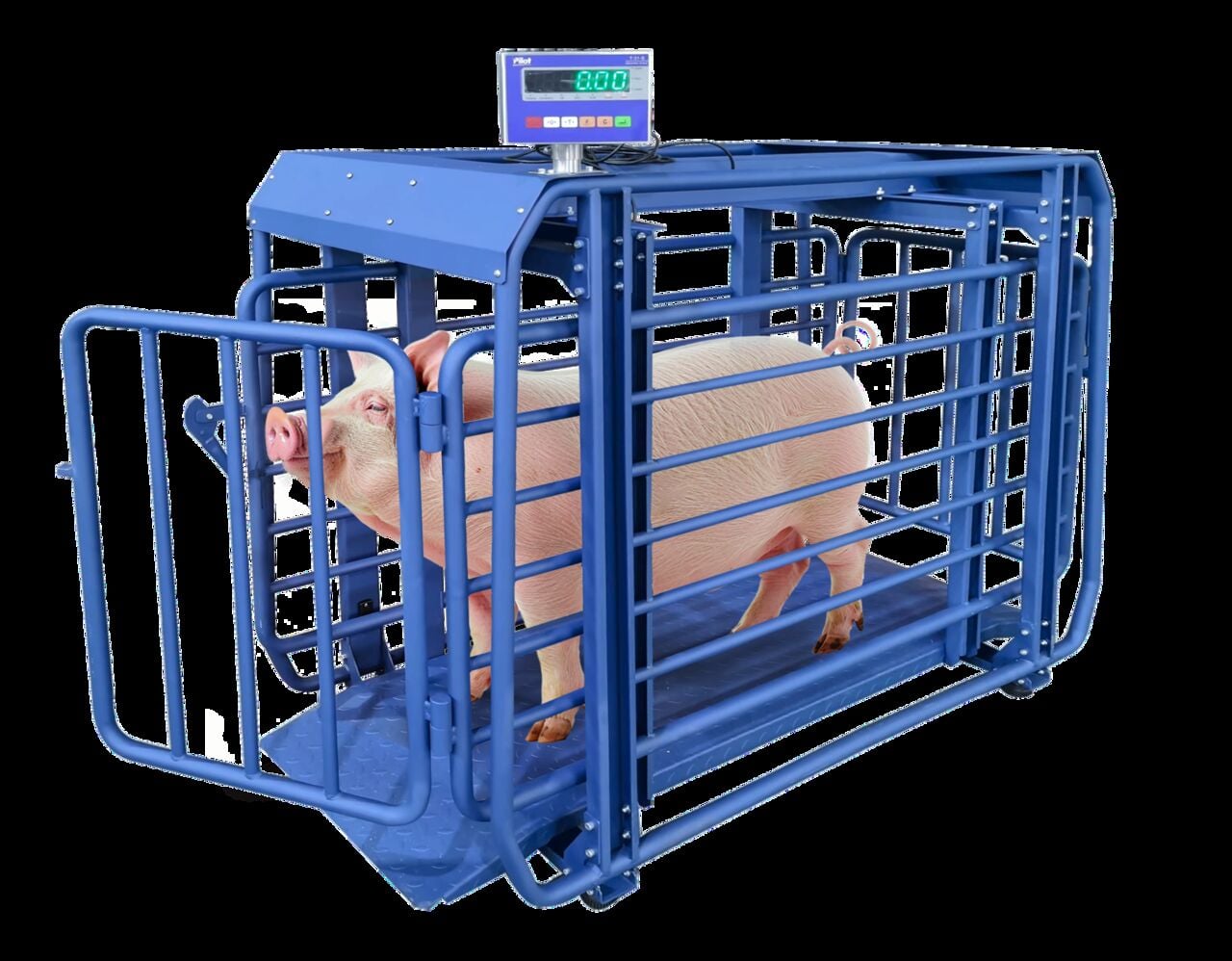 Kampala, Electronics, UGX 5000000,  Accurate Pig Scale Repair Uganda