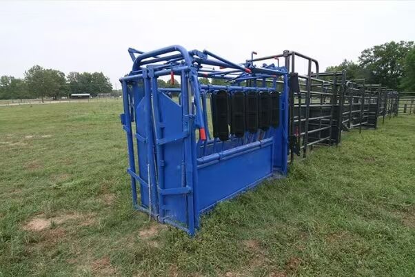 Kampala, Electronics, UGX 5000000,  Accurate Smart Pig Weighing Systems Uganda