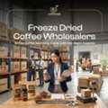 Freeze Dried Coffee Wholesalers In Delhi NCR: How To Choose Cuppanord?