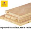 Plywood Manufacturer In India