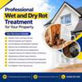 Effective Wet And Dry Rot Treatment Solutions