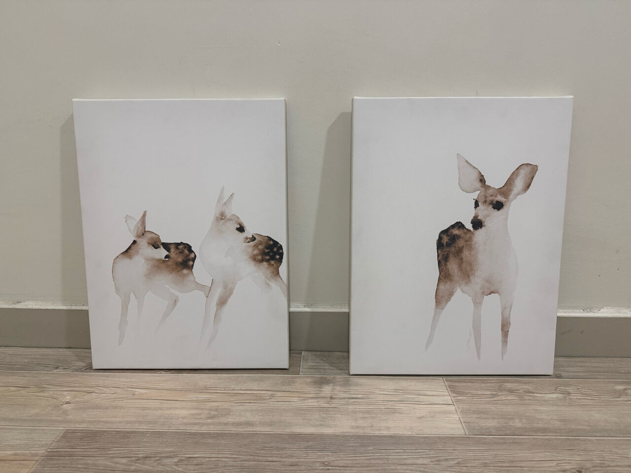 Al Rakah Al Shamaliyah, Household Items, SAR 100,  Canvas ( Pair )