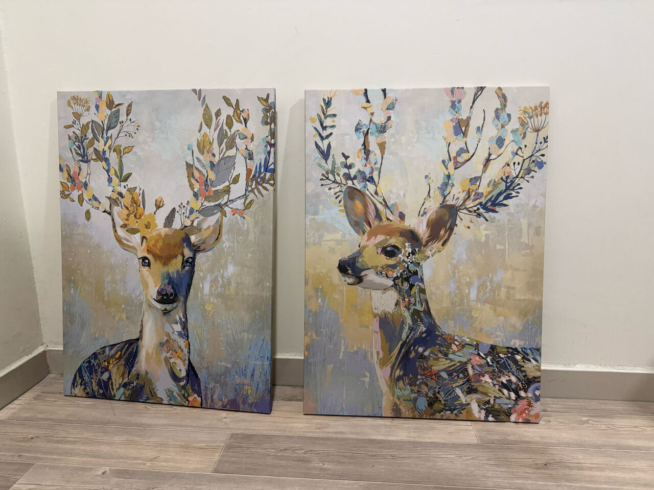 Al Rakah Al Shamaliyah, Household Items, SAR 150,  Canvas ( Pair )