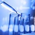 Professional Drug And Alcohol Testing Services