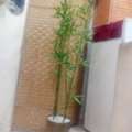 SAR 5,  Flower Vase