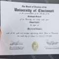 Buy Buy A Fake University Of Cincinnati Diploma