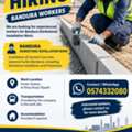 WE ARE HIRING – BANDURA WORKERS     مطلوب عمال تركيب بندورة