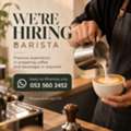 Barista