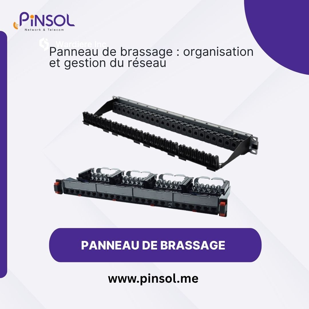 Algiers, Computers, Panneau De Brassage : Organisation Et Gestion Du Réseau