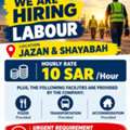 20 Labor Hiring Urgent