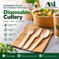 INR 100,  Disposable Cutlery For Businesses And Compostable Cutlery