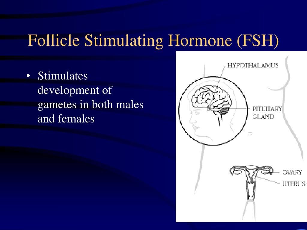 New Delhi, Health, Follicle Hormone Test In Delhi With Expert Care | Fertylity IVF