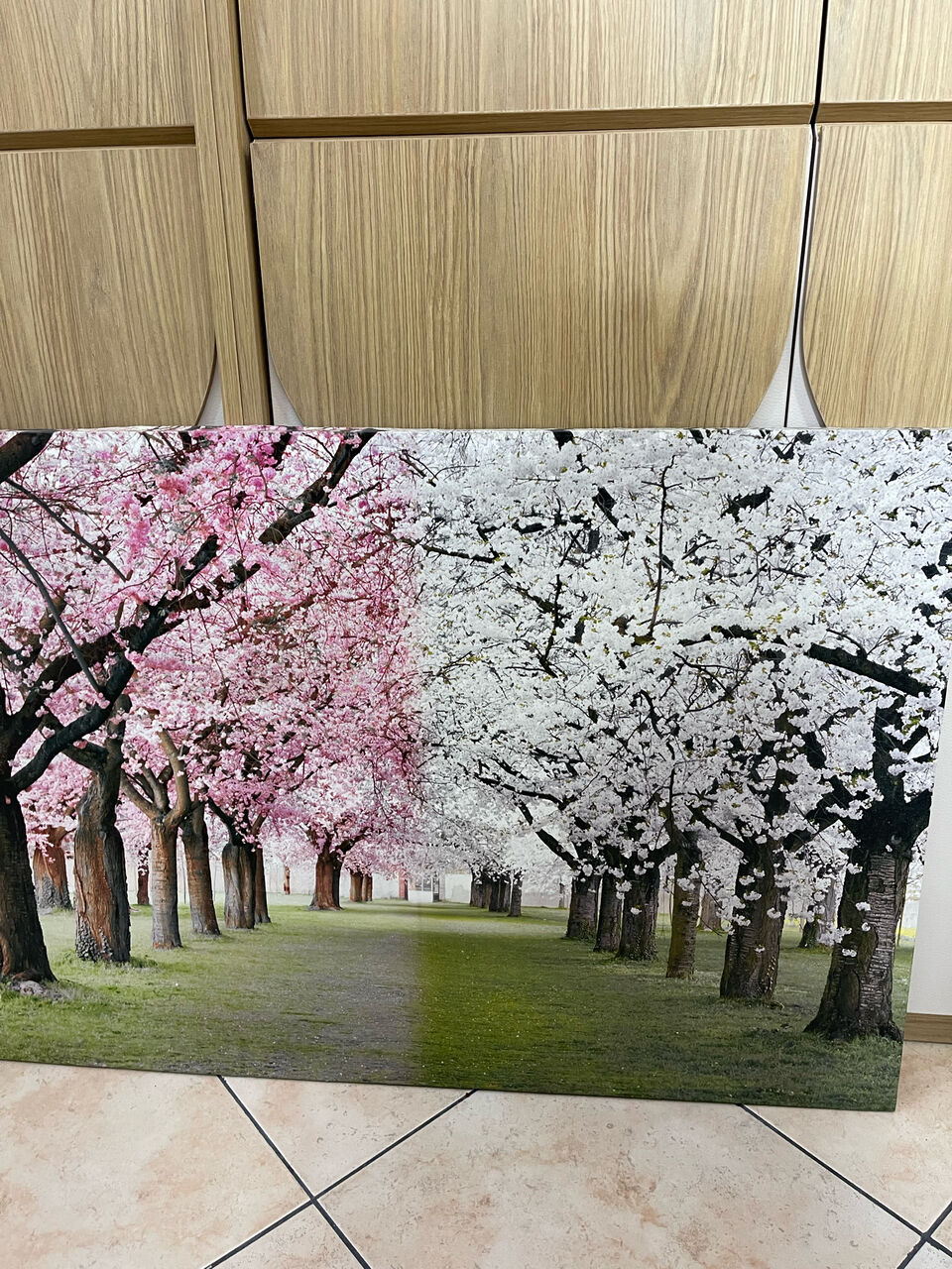 Al Malaz, Household Items, SAR 80,  Home Centre Picture Frame