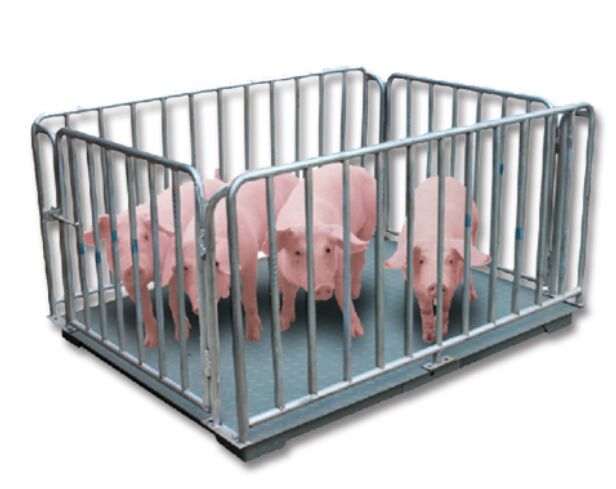 Kampala, Electronics, UGX 5000000,  Accurate Veterinary Pig Scales Uganda